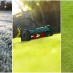 Lawn Care Guide