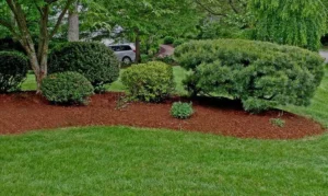 Mulching techniques for lawns, lawn mulching benefits, and best mulch practices to improve lawn health