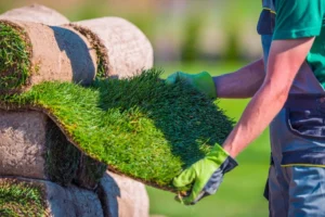 Ultimate Guide to Seasonal Lawn Equipment Maintenance