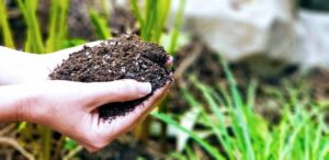 Composting for Lawns