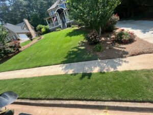 Best Lawn Care Routine