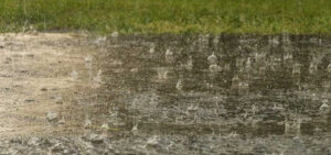 Lawn prepared for heavy rain with proper drainage and care