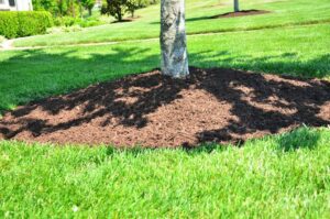 Top Mulching Materials for Lawns