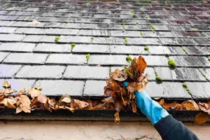 Commercial Gutter Cleaning